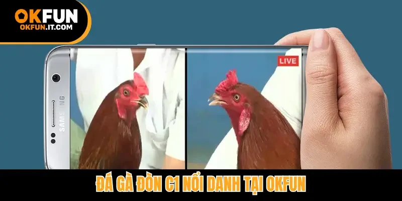 Đá gà đòn C1 nổi danh tại Okfun