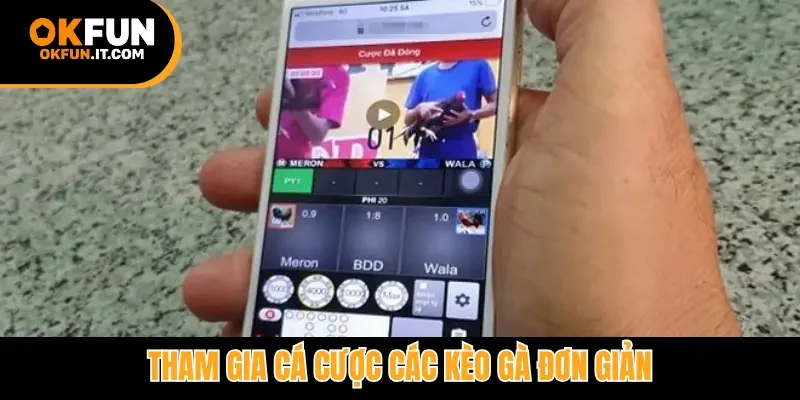 Tham gia cá cược các kèo gà đơn giản